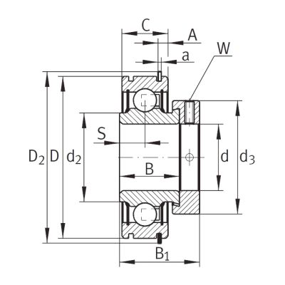 Закрепляемый подшипник RALE 25-XL-NPP-NR