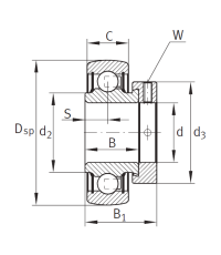 Закрепляемый подшипник RAE 35 XL NPP B