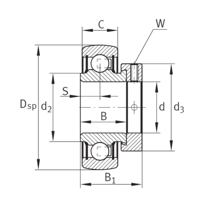 Закрепляемый подшипник RAE 35 XL NPP B