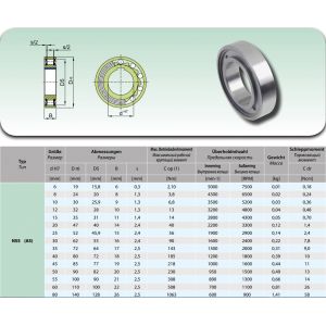 Подшипник обгонной муфты обгонная муфта AS 40 (NBS) (US 40)